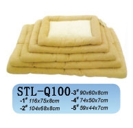 STL-Q100
