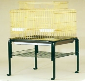 CAGE